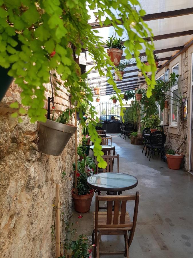 Garden Place Alojamento Local Viseu Ngoại thất bức ảnh